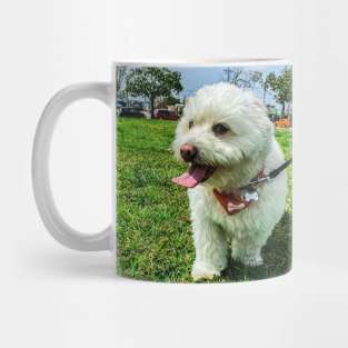 Cute puppy on a walk Mug